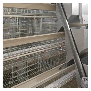 A type Galvanized Welded Wire Mesh Egg Layer Chicken Battery cage Used For Hens Poultry Farm