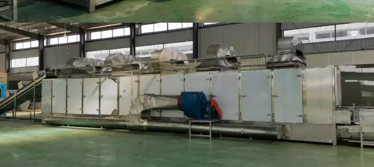 dehydrated vegetable Continuous belt Conveyor Tunnel drying machine