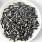 Sunflower Sunflower Seeds Wholesale Sunflower 363/361/601/5009 Export