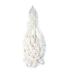 Necklace Shell Shellshell Selling Necklace Jewelry Conch Seashell Necklace Pendant Women Shell Necklace