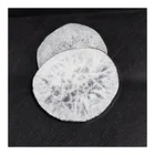 Natural Brazilian White Agate Slices Coasters With Sliver Trim