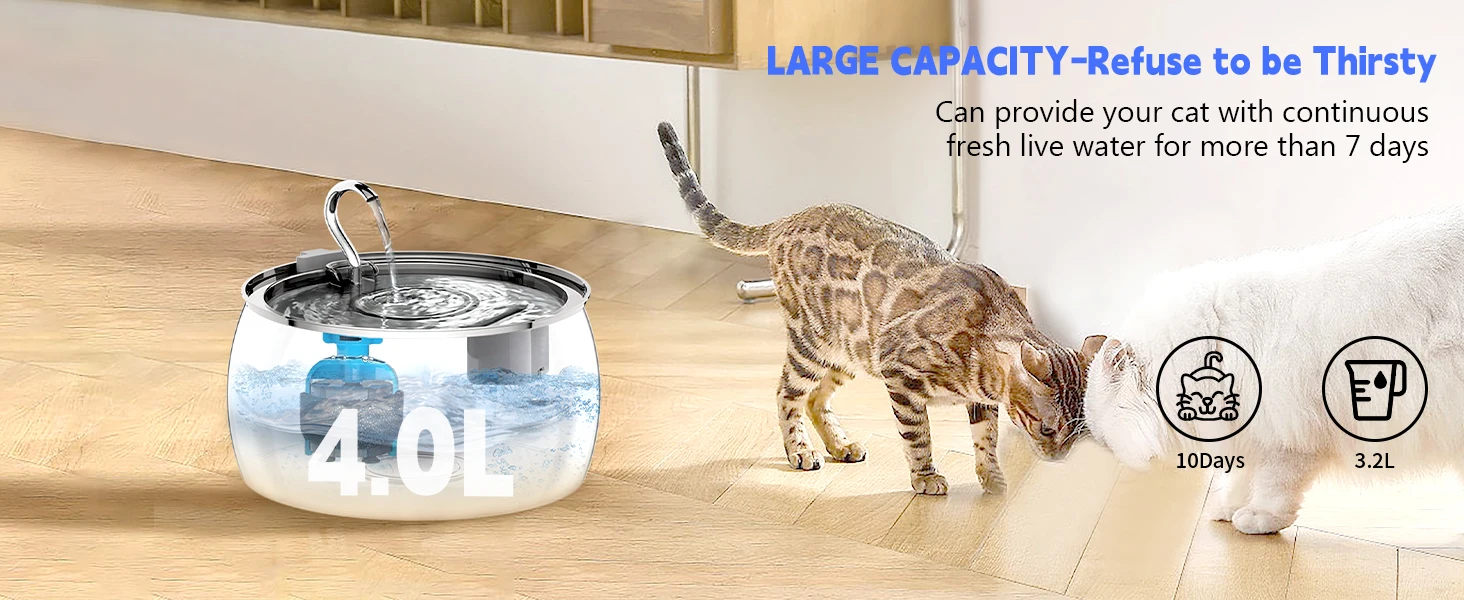 cat water fountain