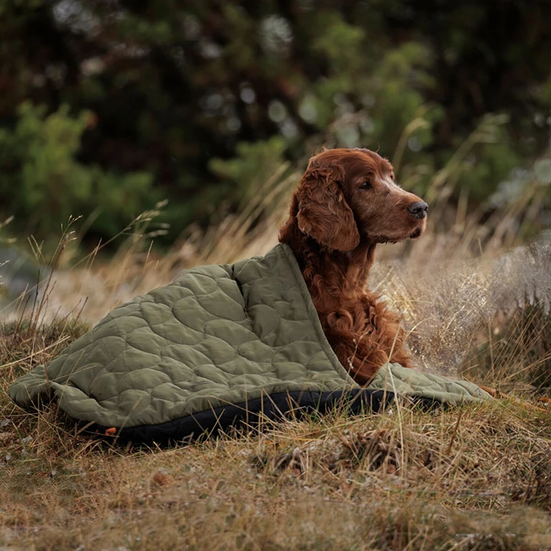 how do you keep your dog clean while camping