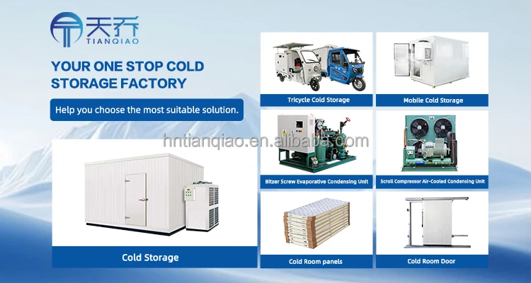 With Large Container Freezer, 220v, 1.35KW - detail 2