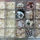 Shell Beads Bead Wholesale Shell Carved Claw Shape Beads Natural Shell Bead Pendant