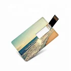 Pen Drive Custom LOGO Credit Card Pen Drive 8gb 4gb 32gb Mini Business Card Usb Flash Drive Pendrive 2/3.0
