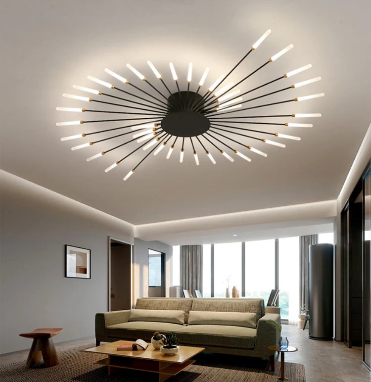 ceiling light (4).jpg