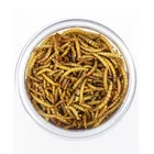 Mealworm Feed Bulk Chicken Feed Dry Mealworm