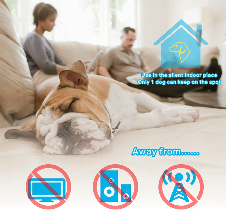 Pet Safe Raid: The Ultimate Guide to Protecting Your Home from Unwanted Guests