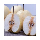 Fresh Pears Pearfreshpear Factory Direct Sale Sweet Juicy Plump Fresh Yellow Pears