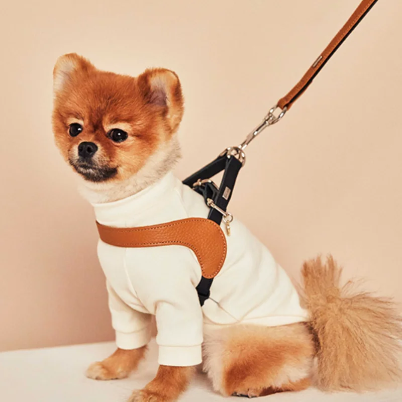 stylish dog leash and harness