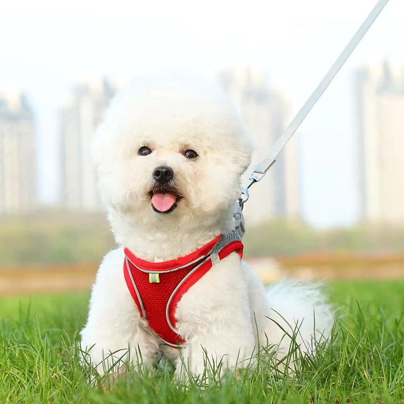 Hot Sale Pet Harness Reflective Nylon Dog Leash Harness Set Small Puppy Dog Cat Harness Pet Products factory