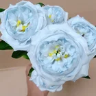 Decoration Wedding Ornament Silk Tea Roses Flowers Decoration Wedding Artificial Flower Camellia For Wholesales