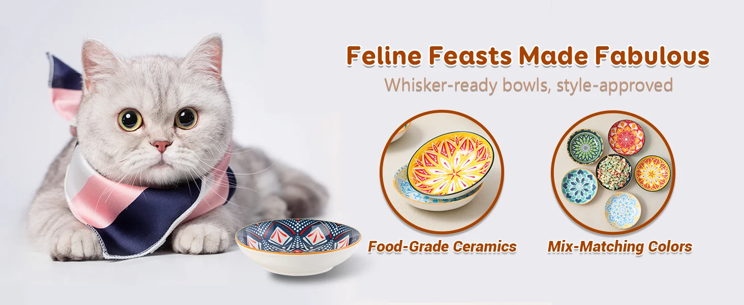 Colorful Cat Bowl Set