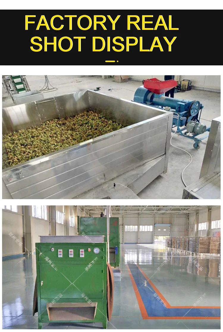 Nut Hazelnut Cracking Shelling Drying Machine Macadamia Processing Plant details