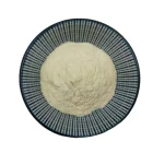 10 Billion Cfu Food Grade To Help Sleep Lactobacillus Plantarum Probiotics Powder