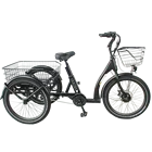 Bicycle Trike Special Hot Selling 3 Wheel Tricycles Bicycle Electric Trike Ebike Cargo Electric Bike