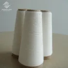 Polyester Spun Yarn Spun Manufacturer Polyester Spun Yarn 50S 100% Polyester Siro Compact Spun Yarn