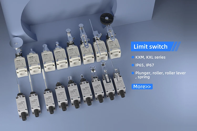 Limit Switch-wd750px.jpg