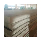 Rolled Forged China Supplier 8-440mm Hot Rolled Forged ASTM Mold Steel Plate