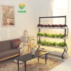 Sale Garden Hot Sale Smart Vertical Garden