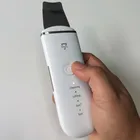 Skin 2021 Trending New Product Ultrasonic Peeling Skin Scrubber