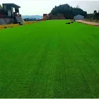 Line Grass Production Line Fire Resistant Garden Artificial Grass Carpet Mat
