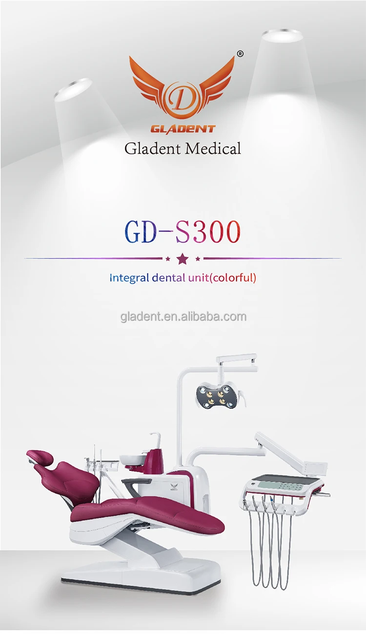 GD-S300()_01.jpg