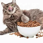 Cat Food Dry ODM OEM Natural Nutrition Balanced No Additive Bulk Adult Cat Food Dry Organic Pet Cat Food Wholesale