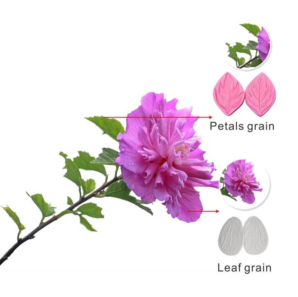 Details about   Plum Blossom Veiner Surgar Gumpaste Petal Flower Cake Decorating Tools 