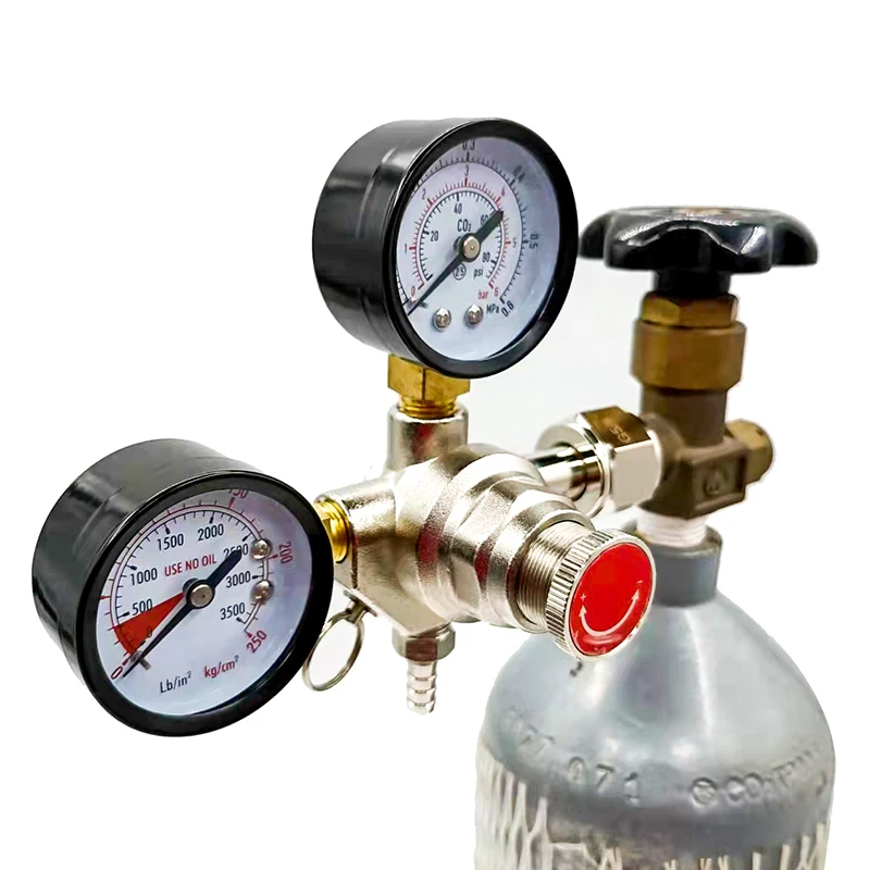 Economy Pressure Beer Regulator Dual Gauge with Rubber Protector factory