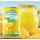 Corn Canned Corns Small MOQ Perfect And Great Price Corn Canned