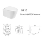 Standard Rimless Wall-hung Toilet With Bidet High-end European Standard 210