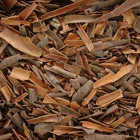 Cassia Cassia Cinnamon - Cassia Whole Broken