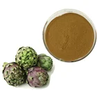 Green Factory Direct Supply 2.5%/5%Cynarin Of Natural Organic Powder Leaf Green Artichoke Extract
