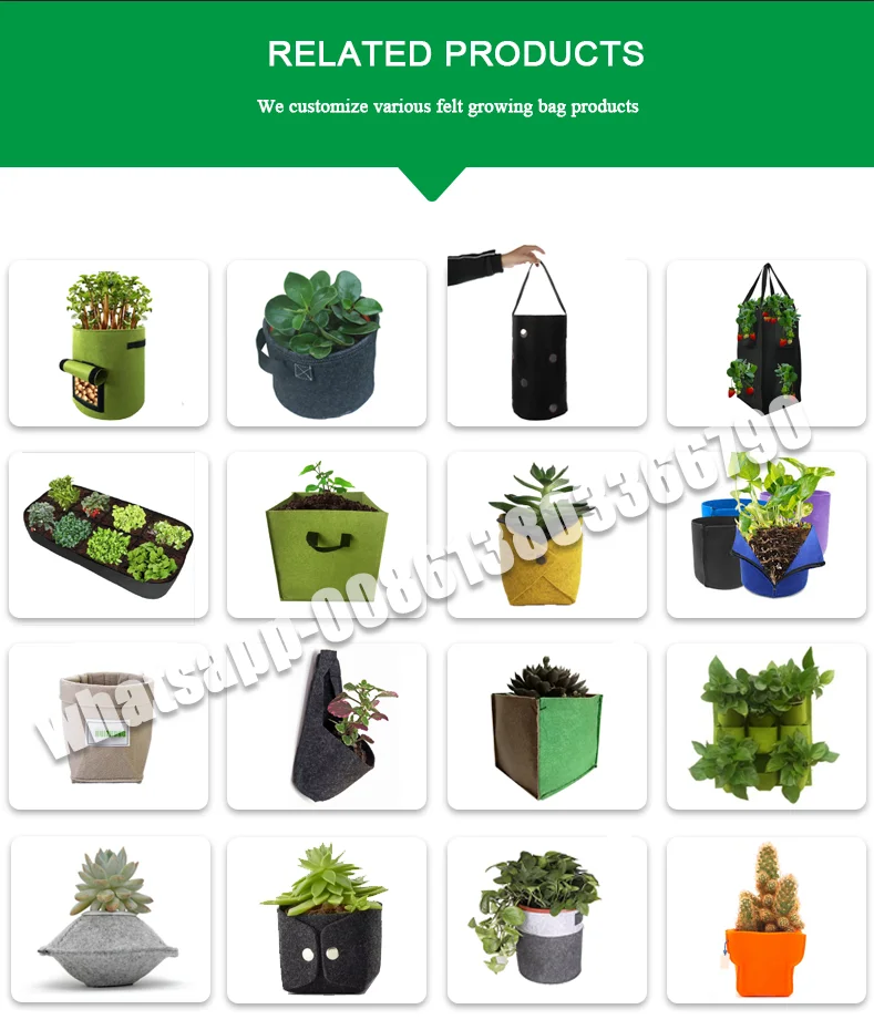 free sample supply eco friendly felt fabric grow bags trilite