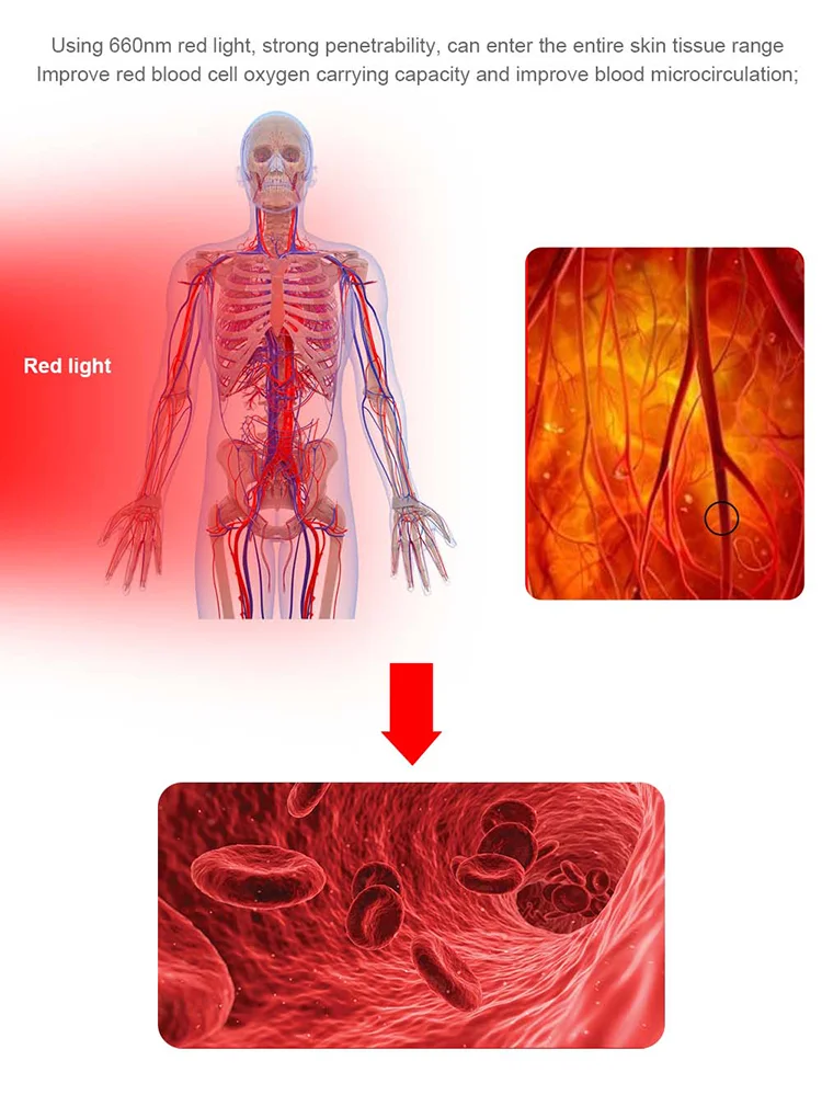 Full Body Red Light Therapy Bed Professional Phototherapy Device 10 <h3><strong>TECHNICAL SPECIFICATIONS</strong></h3> Input Voltage: AC110V-240V, 50/60Hz Power: 2400W LED Lamps: 273 high-intensity LEDs Light Source:24 x 100W Reflector Lamps Wavelength:633nm Red Light Lamp Brand:Cosmedico (Germany) Lamp Wattage:180 W Session Time:15–20 minutes recommended Packing Size: 192*86*99CM Gross Weight: 110kg Warranty:36-month warranty Full Body Red Light Therapy Bed Professional Phototherapy Device