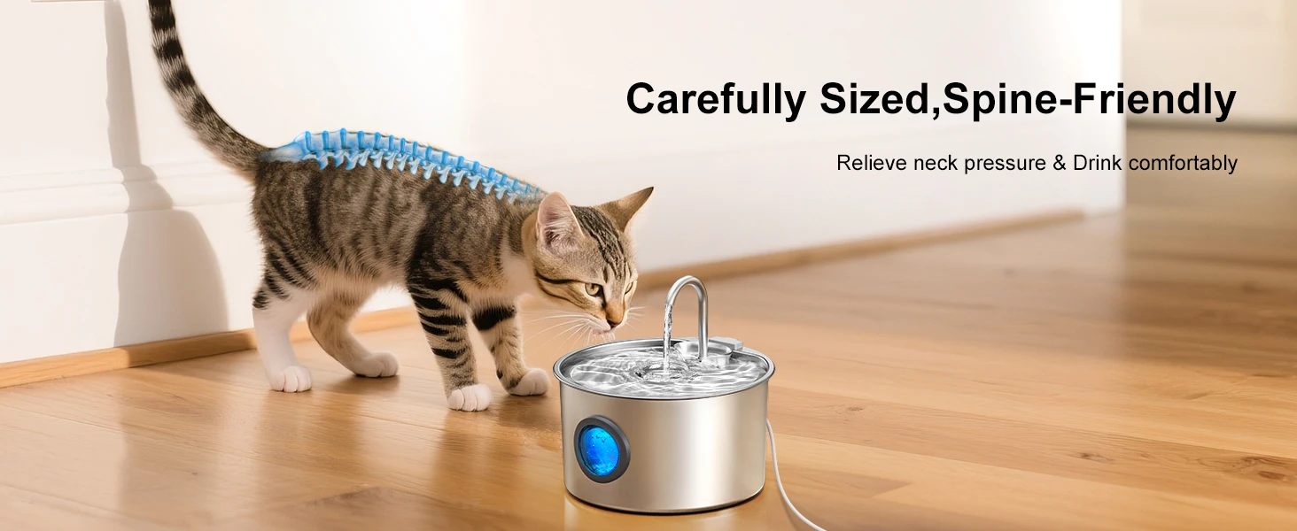 pet water fountain for cats indoor