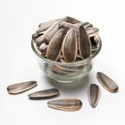 Fresh Sunflower Fresh Factory Long Shape Natural Wholesale Fresh Large Size Sunflower Seeds Unroasted