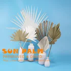 For Flower Australia Popular Dried Palm Leaf For Weddings And Flower Arrangements