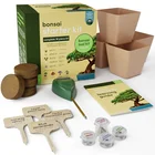 Bonsai Hot Sale High Quality Bonsai Tree Planting Kit Flower Pot Planting Box Pots For Plants