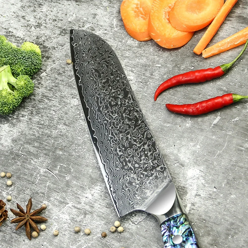 Kitchen Accessories Professional  Stainless Steel Abalone Handle Kitchen Knives Set Damascus VG 10 Steel Core 67 layers