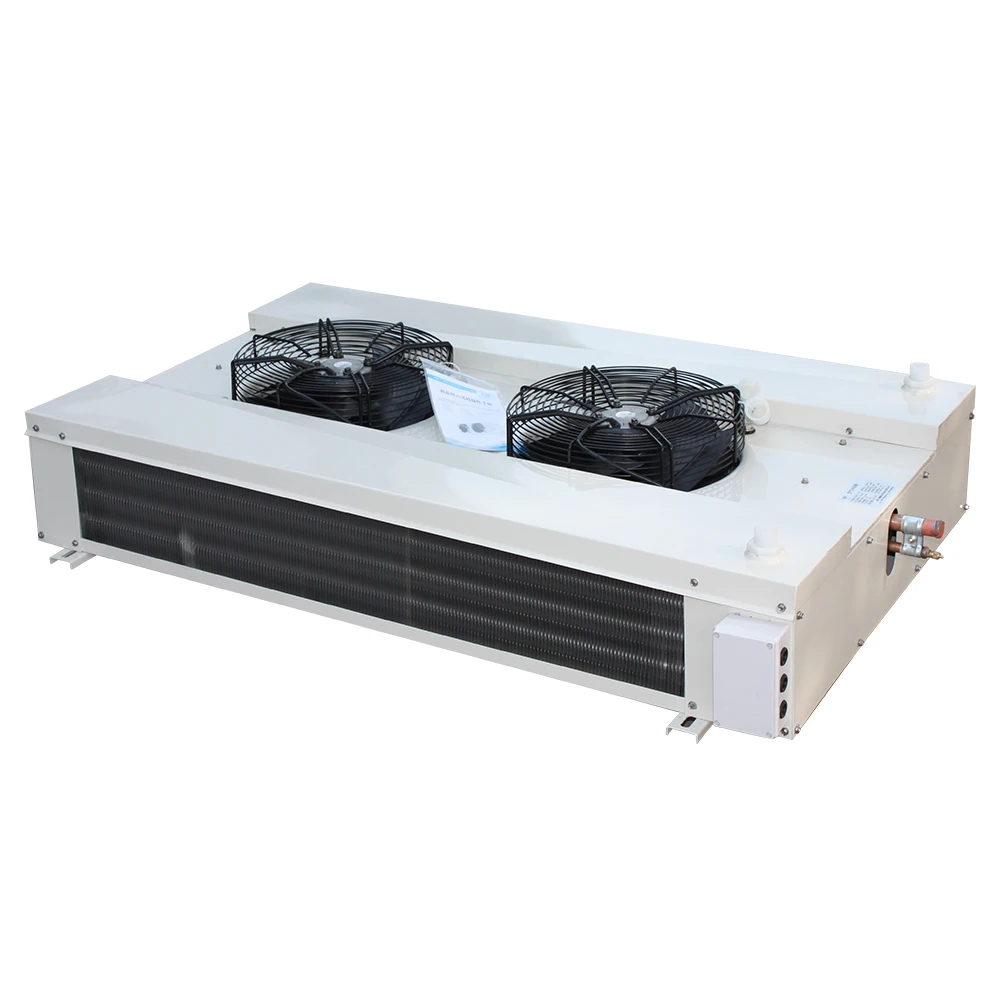 Ceiling Type Refrigerator, 2*180w - detail 12