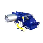 Burners Professional Manufacture Cheap EBICO ES Natural Gas Burners For Boilers