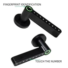 Lock Wooden Doors Smart Lever LocK Wooden Doors Room Electric Split Alloy Biometric Fingerprint Handle Lock