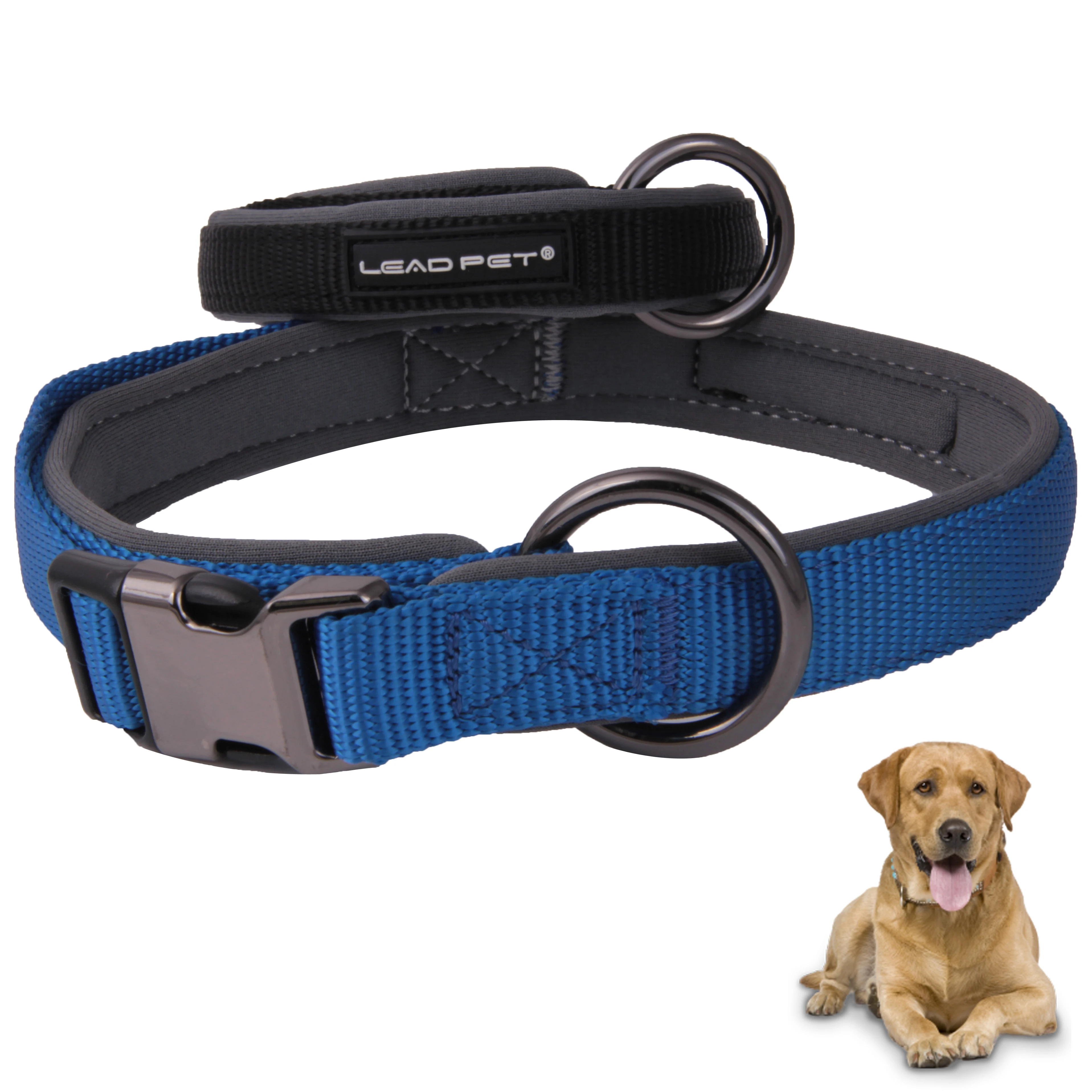 dog lead safety catch