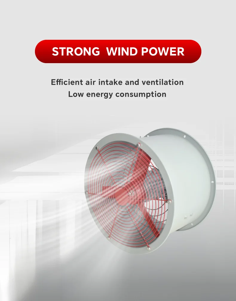 Explosion-proof Ventilation Cbf Fan, ATEX, Wall - detail 8
