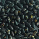 Black Beans Roasted Black Beans