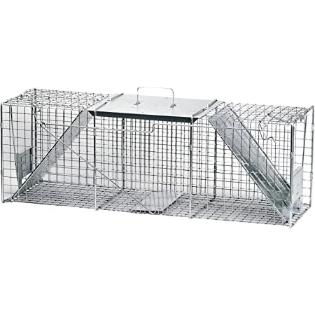 Top 190 + Easy animal traps - Lestwinsonline.com