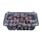 Container With Blister Eco Fruit Container Plastic Packing Box With Hinged Lid